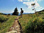 91 E qui chiudiamo l'anello 